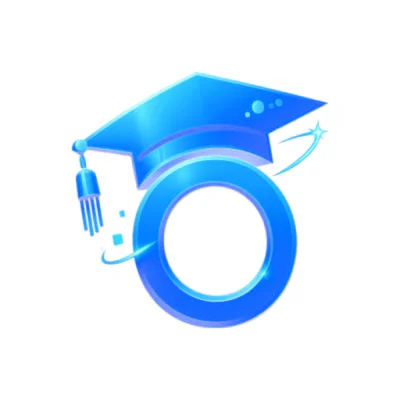 OptSolution